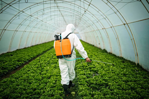 Professional Pest Control in Chadds Ford, PA